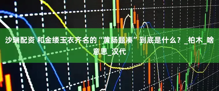 沙瑞配资 和金缕玉衣齐名的“黄肠题凑”到底是什么？_柏木_啥意思_汉代