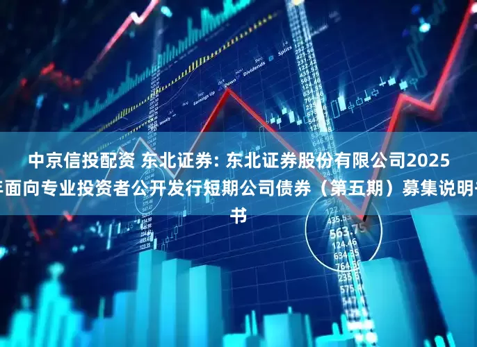 中京信投配资 东北证券: 东北证券股份有限公司2025年面向专业投资者公开发行短期公司债券（第五期）募集说明书