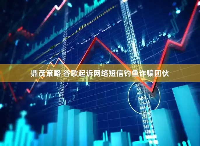 鼎茂策略 谷歌起诉网络短信钓鱼诈骗团伙