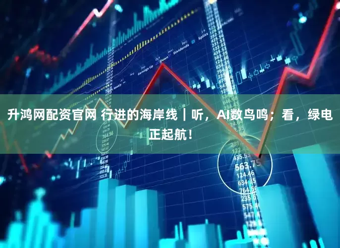 升鸿网配资官网 行进的海岸线｜听，AI数鸟鸣；看，绿电正起航！