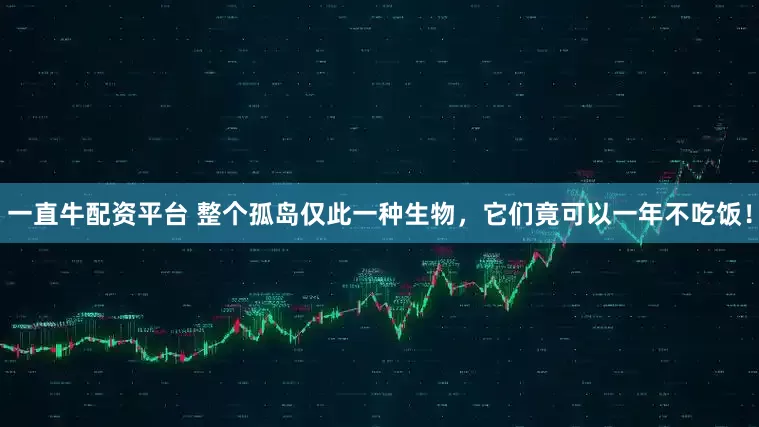一直牛配资平台 整个孤岛仅此一种生物，它们竟可以一年不吃饭！