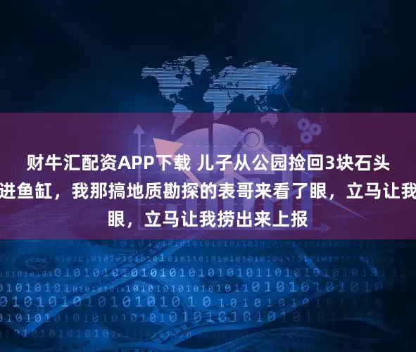 财牛汇配资APP下载 儿子从公园捡回3块石头，我随手扔进鱼缸，我那搞地质勘探的表哥来看了眼，立马让我捞出来上报