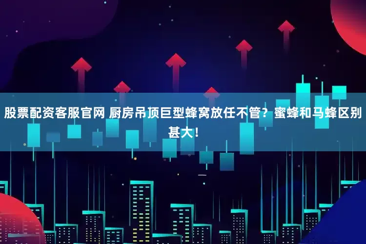 股票配资客服官网 厨房吊顶巨型蜂窝放任不管？蜜蜂和马蜂区别甚大！